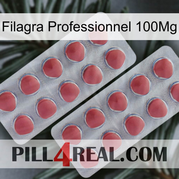 Filagra Professional 100Mg 19